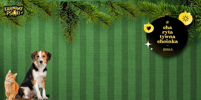 Od świątecznej akcji do programu wolontariatu pracowniczego