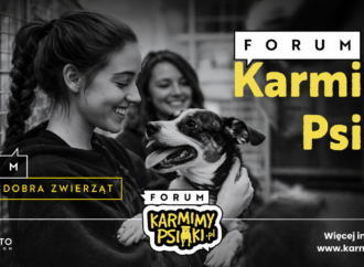 CSR na rzecz zwierzak&oacute;w &ndash; zgłoś firmę na Forum Karmimy Psiaki!